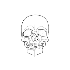 Moganji Singleline This Skull Is The Sixth Design In A Series Of Images That I Will Post Time After Time These Mo Ganji Line Drawing Tattoos Skulls Drawing