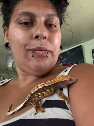 Tropical pink springtail color enhancement tips needed