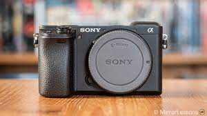 The Best Mirrorless Cameras For Birds In Flight Ranked Mirrorless Comparison