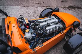 Image result for Samoa Orange 2014 S1