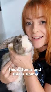 I know this looks like 3 minutes of just cute bunnies cuddling to royalty  free music but the last 4 months have been full of blood, sweat and tears  in the play pen. Pet rabbits are unpredictable, ...