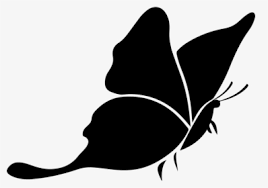 1,512 transparent png of butterfly. Butterfly Silhouette Png Images Free Transparent Butterfly Silhouette Download Kindpng
