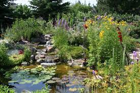 Prairie Water Garden Pond Plants Uk Natural Pond Pond Plants