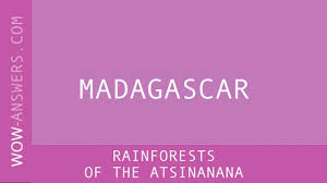 We have fixed all words and achieved this step. Words Of Wonders Rainforests Of The Atsinanana Wow Answers
