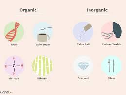 Understand The Difference Between Organic And Inorganic