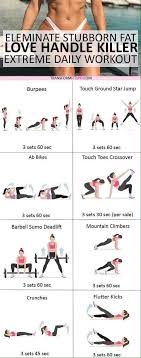 Love Handle Eliminator Workouts Lowerbodies In 2020 Love Handle Workout Love Handles Daily Workout