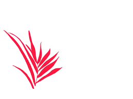 War of the roses chandelier gif; Https Dribbble Com Shots 6168477 6 Abstract Bear 2020 04 22t21 30 10 04 00 Daily 0 7 Https Cdn Dribbble Com Users 1660556 Screenshots 6168477 Image Png 6 Abstract Bear Affinity Designer Bear Abstract Challenge Illy 52 Denver Co 6 Abstract Bear