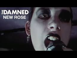 New Rose by The Damned