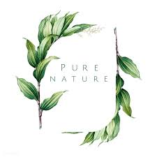 Download Premium Vector Of Pure Nature Logo Design Vector 520631 Nature Logo Design Natural Logo Logo Design Free