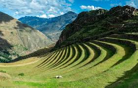 Images?q=tbn:ANd9GcSA97TzXzWDUrCeERysURiqqbX8MTOcDXS1sA&s