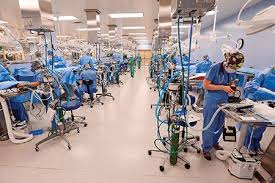 As one of the largest veterinary hospitals in the country, we offer our clients the highest level of care for your dogs, cats, and exotic companion animals. Uc Davis Tops List Of Veterinary School Rankings For Second Time Dvm360