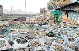 Forest Department Initiatives - अपनी दुकानों में ...