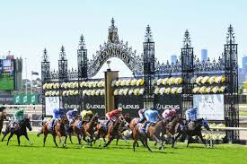 The united states customary cup holds. Melbourne Cup Field Taking Shape