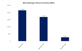 If you buy $50 worth of bitcoin now you could see a 1000x. Microstrategy Buys Additional 50m In Bitcoin Coindesk