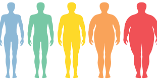 Bmi von 18,5 bis 24,9 bedeutet normalgewicht. Adipositas Grad Hier Erklaren Wir Die Einzelnen Stufen
