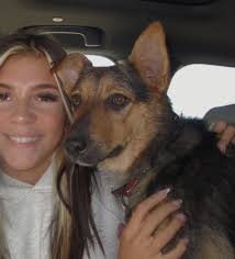 Hi everyone! I'm Rachael Wilson, I am 19 from Edmond Oklahoma and am eager  to explore opportunities in pet sitting, pet walking, house sitting, and  more! With a flexible schedule, I'm available