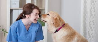 Here Are The 17 Coolest Jobs That Involve Working With Animals Work With Animals Animals Mobile Vet