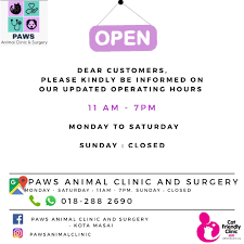 Oyo 89772 roselyn inn in ihren listen speichern. Paws Animal Clinic And Surgery Kota Masai Home Facebook