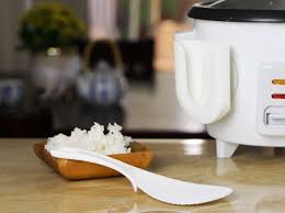 Amazon.com: Echo Rice Cooker Spoon Holder
