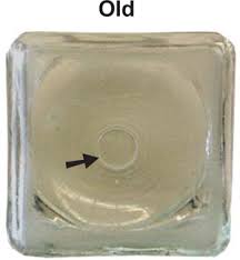 New Dazey 4-quart Glass Bases