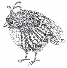 Zen Doodling How To Draw A Bird Bird Drawings Drawings Bird