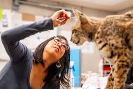 San Rafael resident helps create new Academy of Sciences exhibit