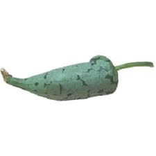 Image result for Kedrostis leloja