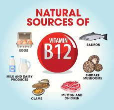 Check spelling or type a new query. 10 Top Vitamin B12 Rich Foods Their Benefits Femina In