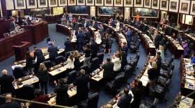 Dara Kam/News Service of Florida