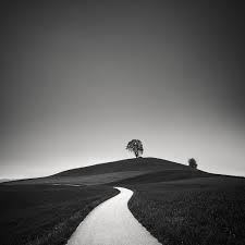 Sinuosity Iv By Pierre Pellegrini Photography Medium Format Film Black And White Landscape Landscape Photography Tutorial Landscape Photography