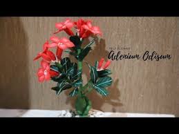 Cara Membuat Bonsai Bunga Kamboja Dari Kain Flanel Felt Adenium Odisum Flower Tutorial Youtube Felt Flowers Paper Flowers Flower Video