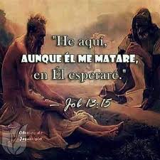 Job 13:15 He aquí, aunque él me matare,... - La Biblia NOS HABLA ...