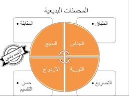 المحسنات البديعية كاملة مستر أحمد ياسين Youtube
