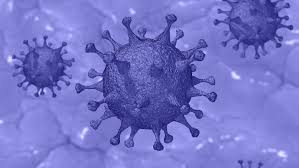 It was first identified in december 2019 in wuhan,. Daily Data From Covid App Predicts Local Incidence And Prevalence Of Virus