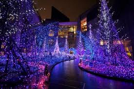 The Best Christmas Illuminations In Tokyo Christmas Fun Beautiful Christmas Best