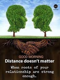Pin On Good Morning Quotes