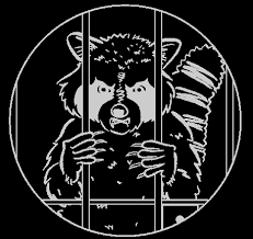 All county's exterminators can help you with squirrels in putnam county, westchester county, and dutchess county pest control. Li Wildlife Squirrel Removal Service Mt Sinai Shoreham