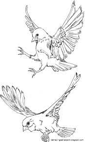 Pin On Birds
