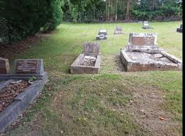 William Henry “Black Bill” Aiken Sr. (1816-1869)