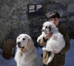 Verrues verrue de chien belle race de chien chien clumber chien de berger anglais quel est le plus beau chien du monde le chien mignon bon chien plus gros chien chien munsterlander chien alaskan chien articles récents. Decouvrez Combien De Chiens Jouent Belle Dans Belle Et Sebastien 3