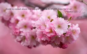 With tenor, maker of gif keyboard, add popular blooming flower animated gifs to your conversations. Cherry Blossom Bible Verse