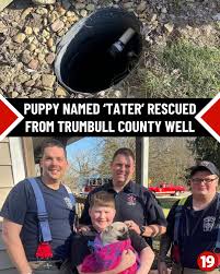 The 6-month-old pug named “Tater” fell...