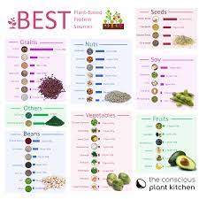 Vegan Protein Sources Chart Provides Grams Of Protein Per 100g Plantbased Vegan Protein Proteinsources Vegetable Protein Chart Protein Chart Vegan Protein