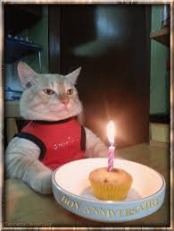 Il n'y a pas encore de commentaire sur cette image. Happy Birthday Anime Cat Novocom Top