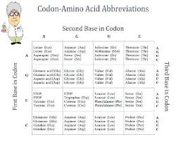30 Rational Codon Wheel Printable