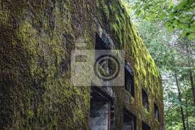 See more of mamerki bunkry on facebook. Mamerki Komplex Deutsch Maurewald In Polen Bunker Des Oberkommando Fototapete Fototapeten Tour Tourismus Bleiben Weltkrieg Myloview De