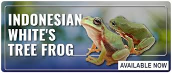 Hunter houck 2.499 views3 months ago. Facebook