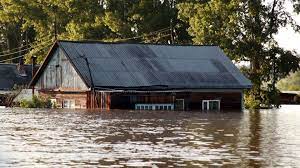 俄雅库特维尔霍扬斯克区因河流雨后泛滥进入紧急状态- 2022年7月10日, 俄罗斯卫星通讯社