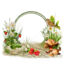 Bunga, bunga, bunga, bunga poppy merah muda dengan latar belakang biru, merangkai bunga bunga seni abstrak desain bunga, perbatasan bunga yang dilukis dengan tangan yang indah. Bunga Png Hd Transparent Background Image For Free Download Hubpng Free Png Photos