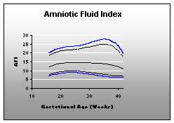 Amniotic Fluid Index